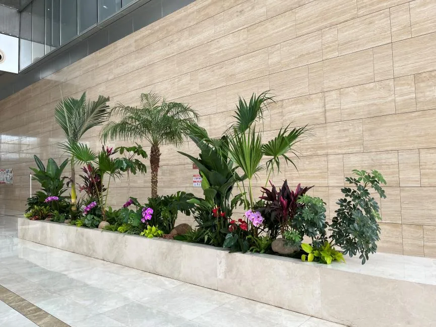 找寻海曙盆景租赁方案，焕新空间绿意浓