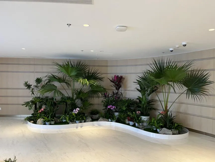 探寻镇海盆景租赁价格，解锁超值租赁体验！